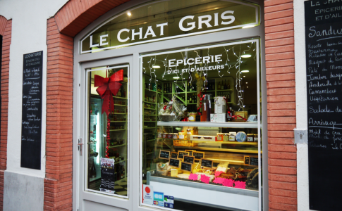 Dévant-Chat-Gris-1024x768