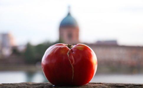 Produits locaux Toulouse Capitolia